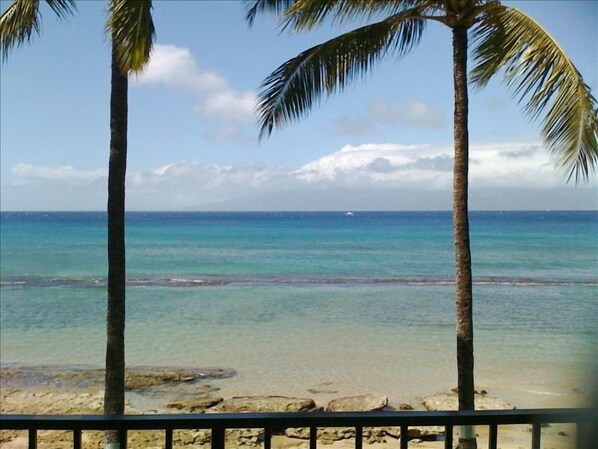 Your view from the living room. Unobstructed, 180 degrees, 40 feet from ocean!