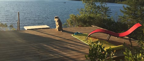 The yoga/suntanning platform deck overlooks the lake