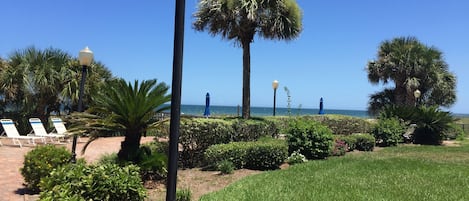 Oceanfront view from our back patio.