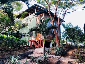 Exterior of the house, facing the jungle
