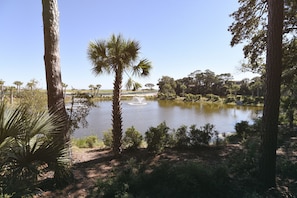 Lovely view of the lagoon from the backyard.