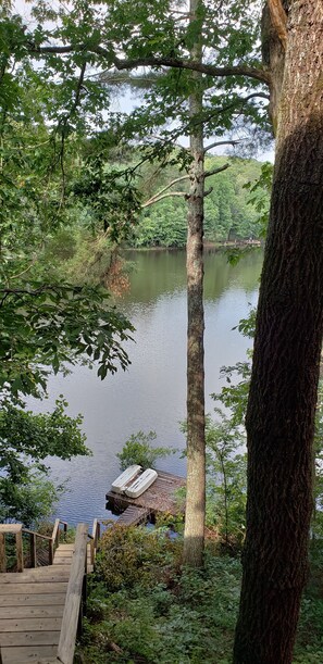 Terrain de l’hébergement 