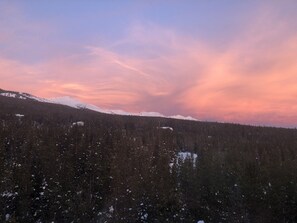 Sekalaista