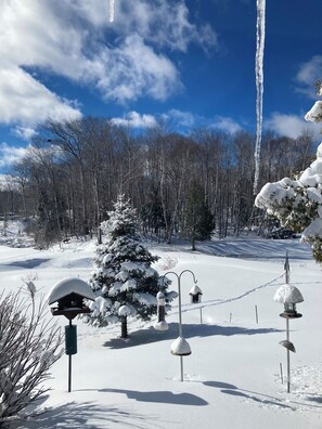 From dining area - 2eagles and 2 deer 