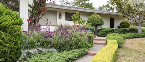 Front Pathway to door.