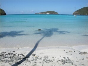 Maho Bay - 8 min.drive from 
HARBOR LIGHTS