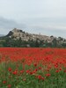 Ansouis in early May when the poppies are bountiful, the color is incredible