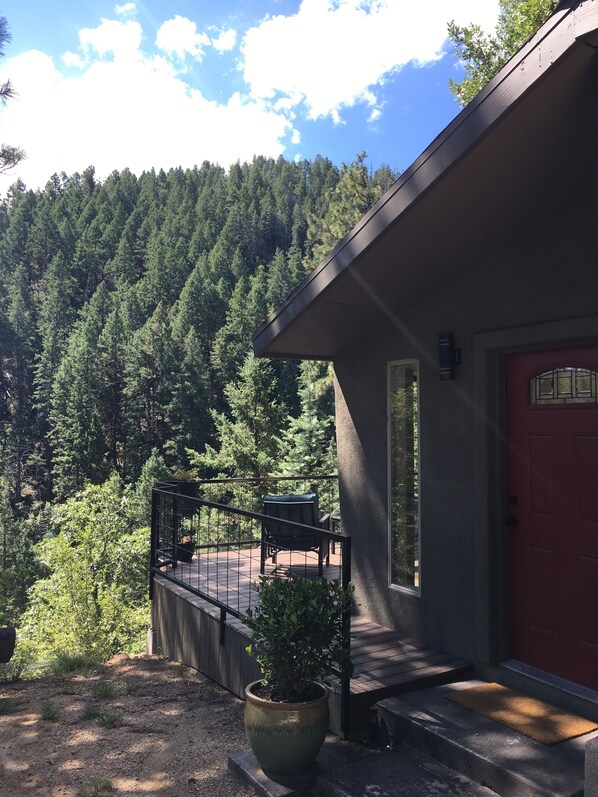 Forest views from each part of the property