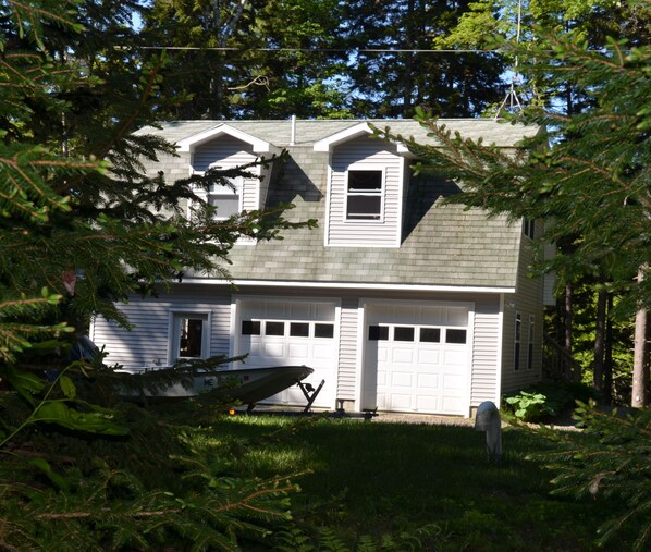 The apartment - we really are in the woods.