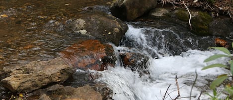 Rushing stream below the cabin borders  National Forest.  No neighbors in sight!