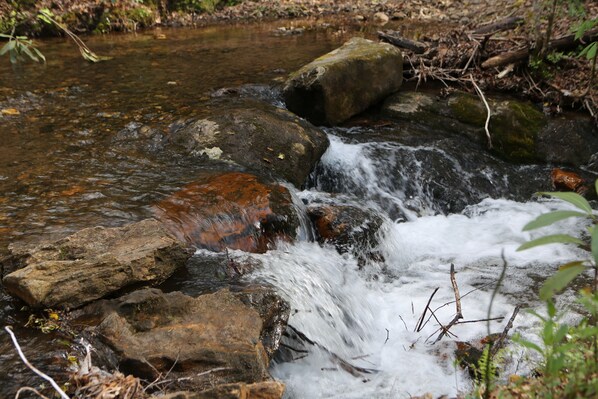 Rushing stream below the cabin borders  National Forest.  No neighbors in sight!