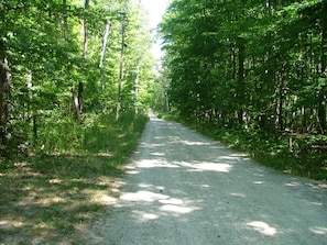 Quiet rural road