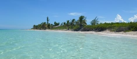 Tulum Beach is just short walk away.  Enjoy white sand and crystal clear water.