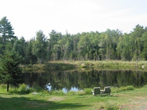 A View of the Pond