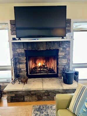 Wood burning fireplace in living room.