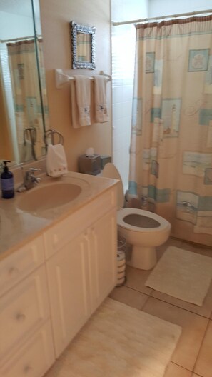 Guest Bath