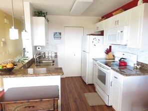 newly renovated kitchen
