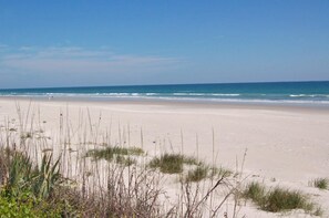 Actual Beach picture