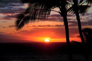 Amazing nightly sunset from your private front lanai/porch 425