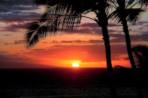 Amazing nightly sunset from your private front lanai/porch 425