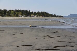 Very low tide. It does not get much better!