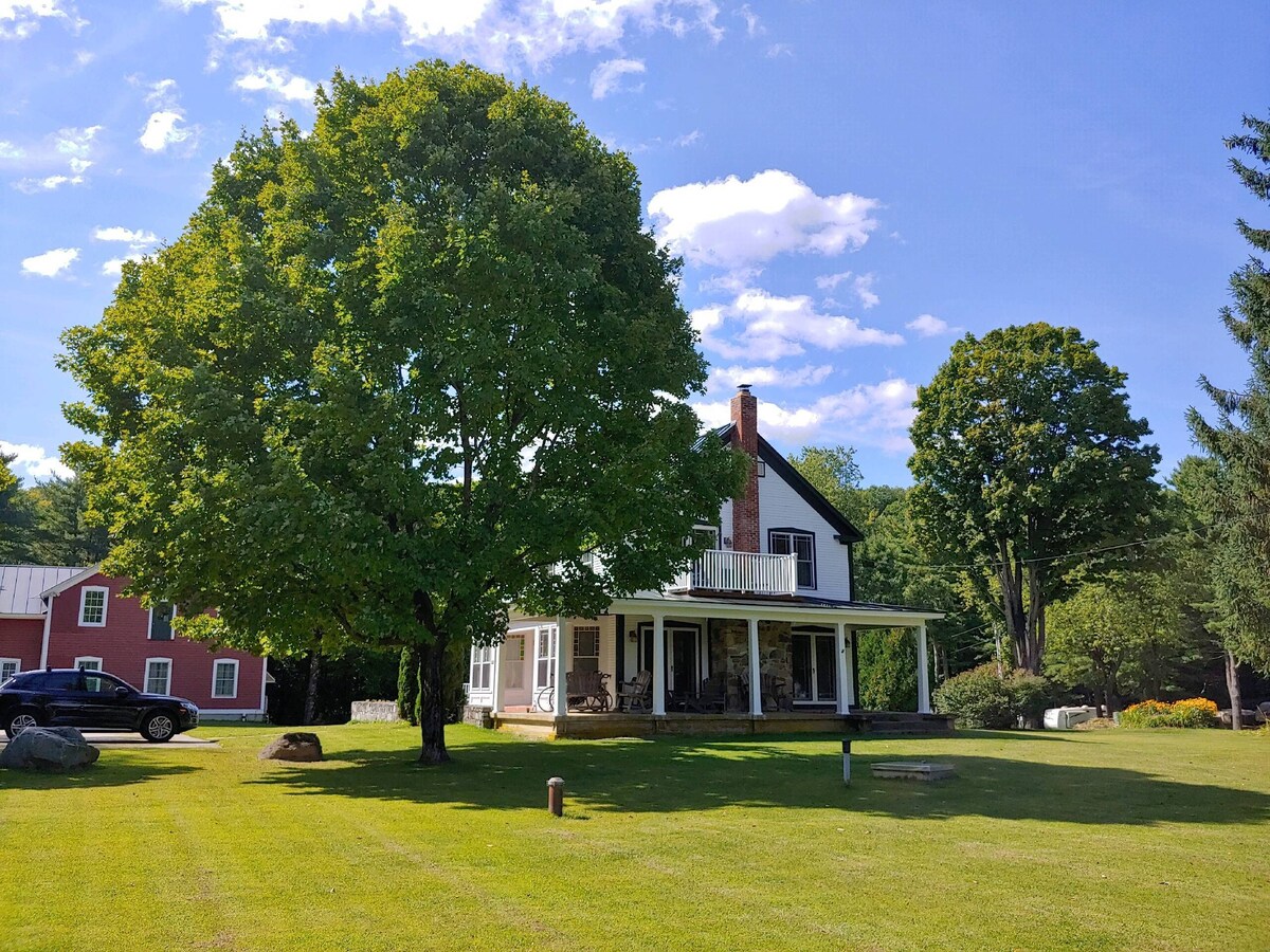 Main Image