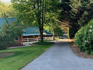 Cabin driveway surrounded by nature.