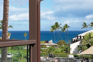 Oceanview from the Lanai