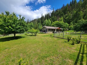 Cottage and private garden with fruit trees for shade.
