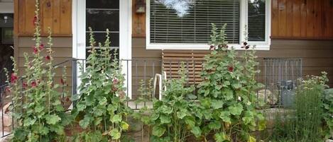 Front of cabin in the summer.