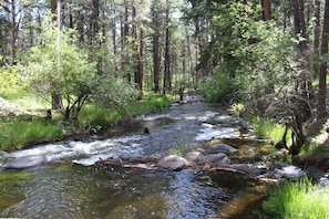 Creek from bridge.