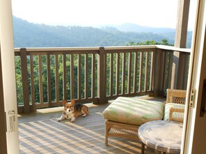 Your "best friend" will enjoy the big porch and the cool mountain air!