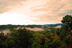 Early morning view from the back balcony porch.