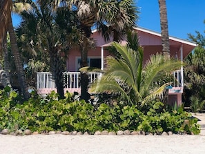 Front of cottage surrounded by Cabbage and Coconut Palms