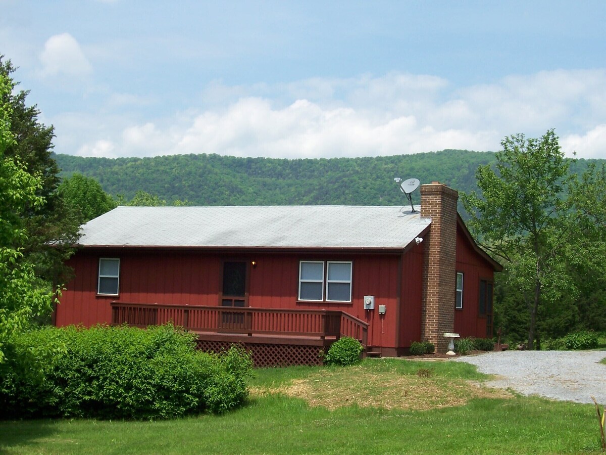 Main Image