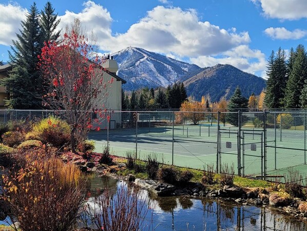 Convenient location in the Sun Valley Resort area with access to restaurants, shops and various recreation.