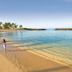 Honu Lagoon