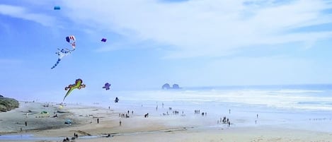 From top deck, looking toward Twin Rocks with some kites on the beach!