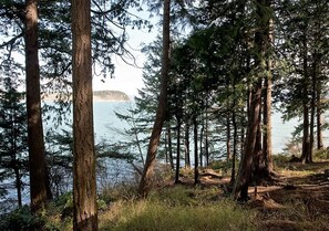 View of Hales Passage from deck