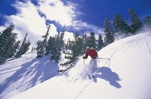 Deportes de invierno y ski