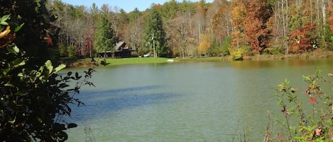 Secluded cabin is close to pond, no other homes in sight.