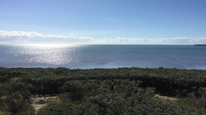 Ocean View from the Balcony