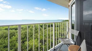 Ocean View from the Balcony