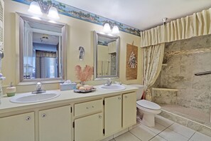 master bad new shower