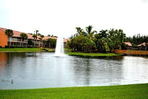 Imagine relaxing on your back lanai sipping coffee and looking at this view.