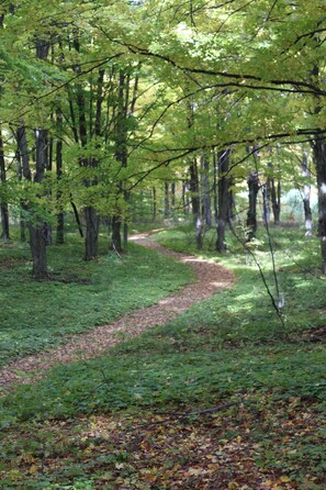 Boendeområde