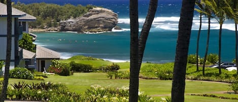 Lanai view of Shipwreck cliff and beach. Watch the cliff divers!