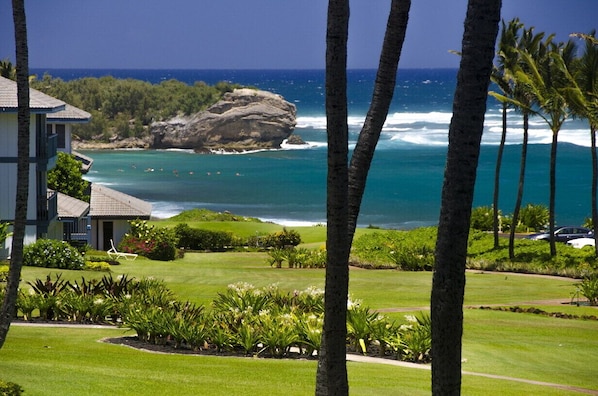 Lanai view of Shipwreck cliff and beach. Watch the cliff divers!