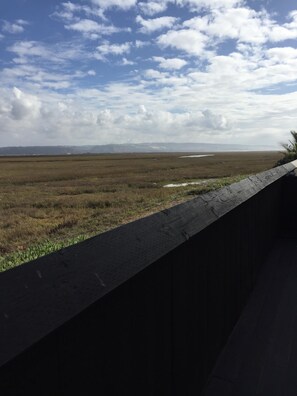 View of estuary at low tide from back deck.