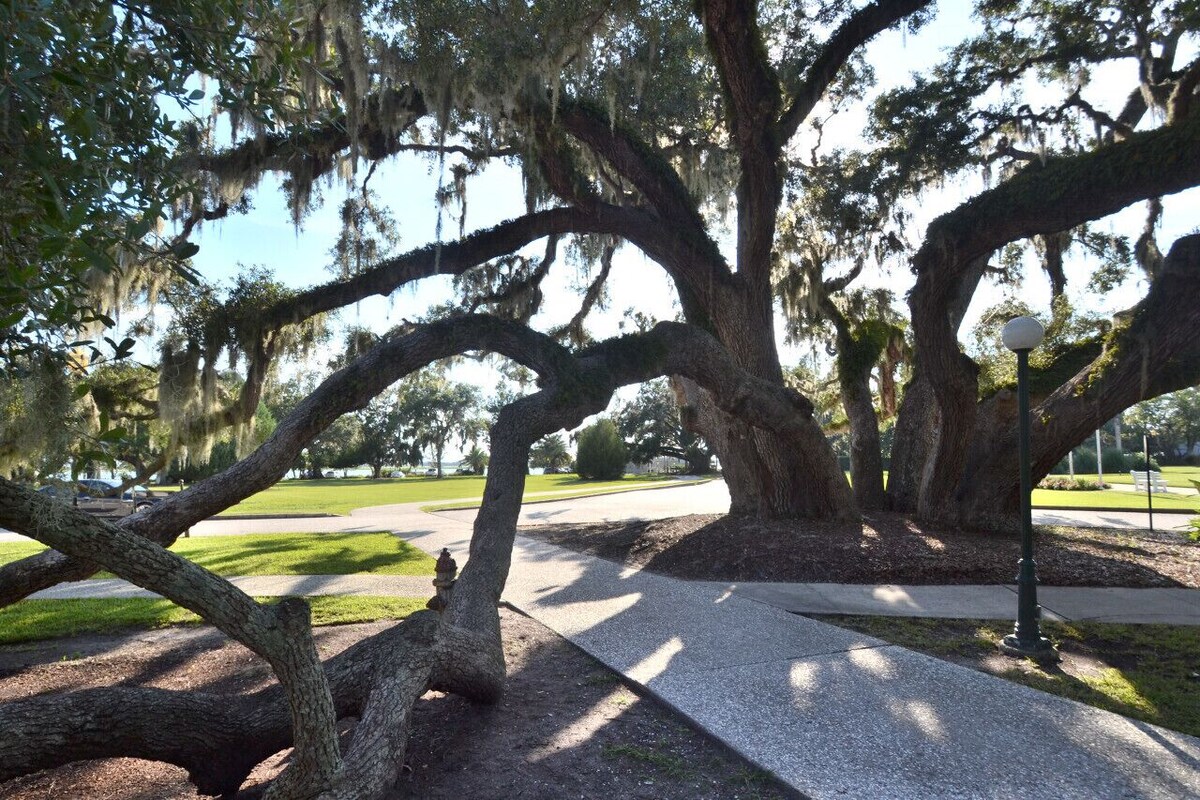 Unit 4 Oceanview T-homes 2 BR|2 BA